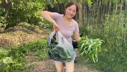 菜园随便一摘就一袋菜,媳妇做茄子浇头捞面条,小伙一大碗不够吃