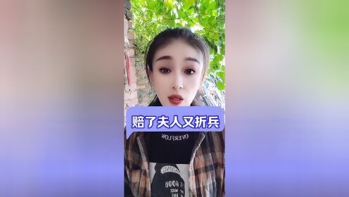 赔了夫人又折兵的故事图片