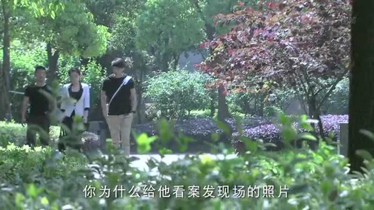 中国刑警803 40集