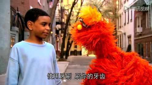 芝麻街国际版 第39季 17集