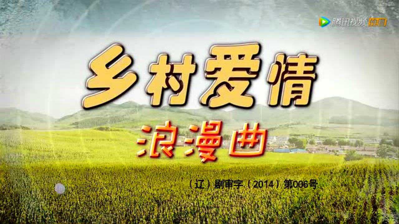 乡村爱情8（下） 14集