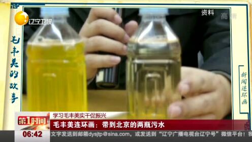 学习毛丰美实干促振兴：毛丰美连环画——带到北京的两瓶污水