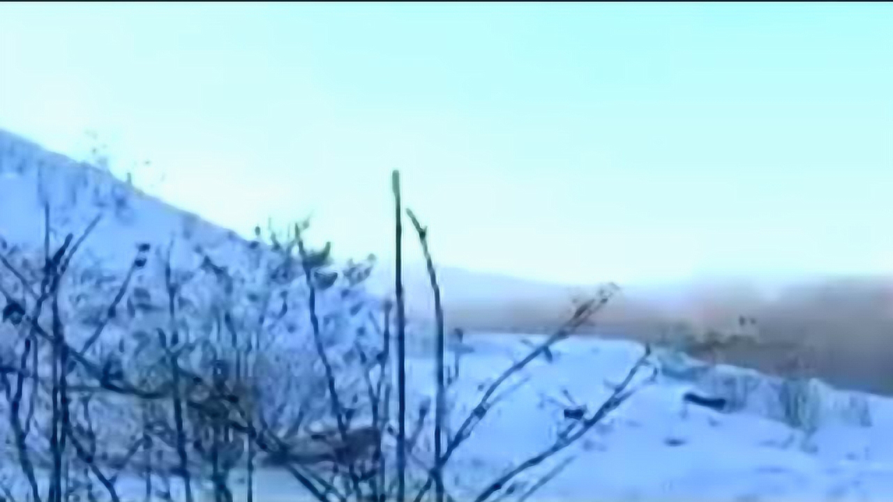 杨靖宇将军 8集
