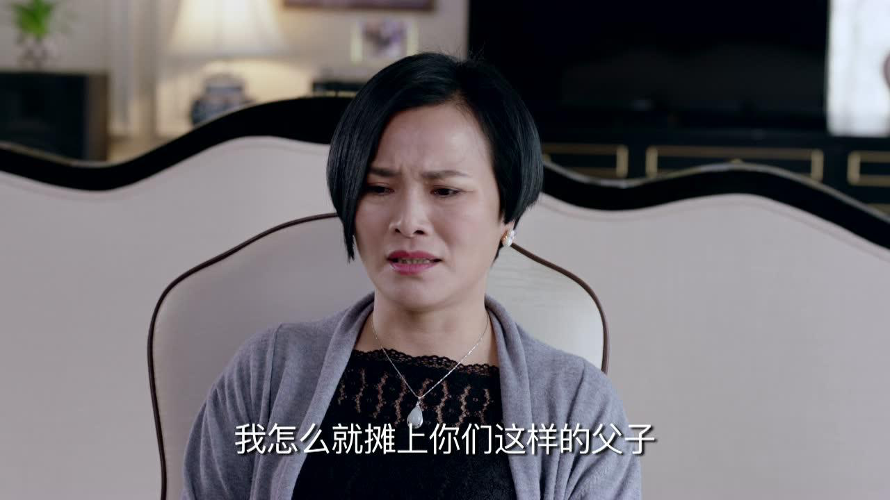 维和步兵营 11集