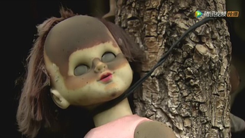 墨西哥恐怖“娃娃岛”满树娃娃简直要把人吓尿