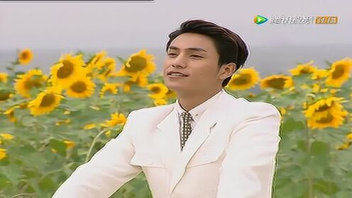 金粉世家 那年的金燕西!回顾15年前坤哥向日葵花海经典告白!