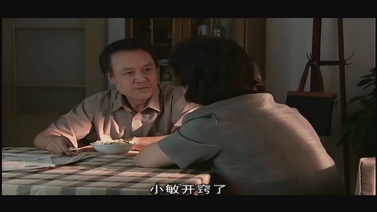 书香门第 16集