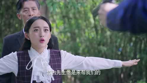 烈火刀影 28集