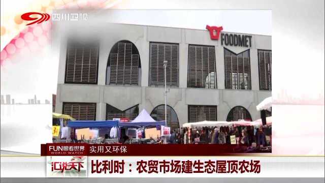 实用又环保 比利时 农贸市场建生态屋顶农场