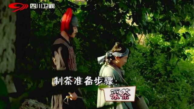 沈腾被抓壮丁于蒙顶山上当“采茶姑娘”,因当地风景吸人,他竟当场引吭高歌