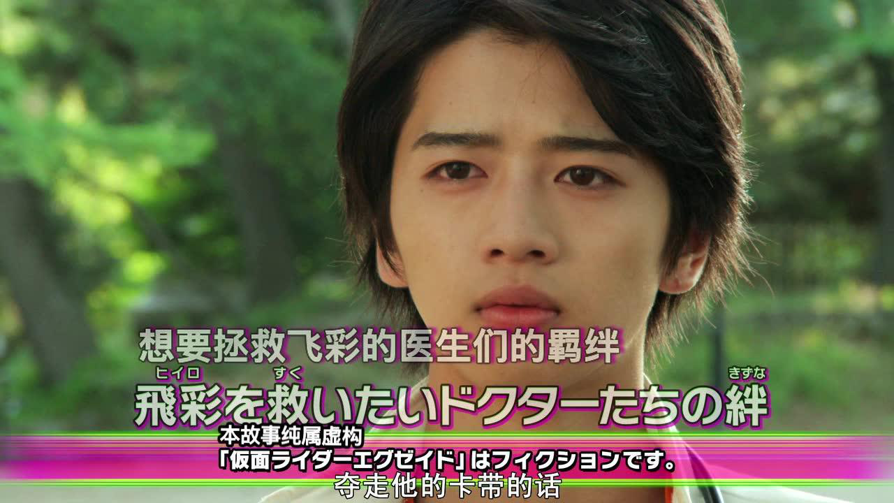 假面骑士ex-aid 普通话版 36集