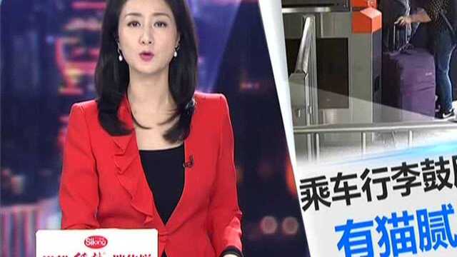 女子携过百条烟出行 被交警拦下调查