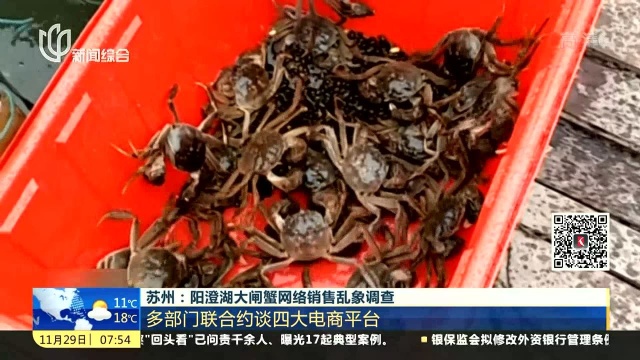 苏州:阳澄湖大闸蟹网络销售乱象调查 多部门联合约谈四大电商平台