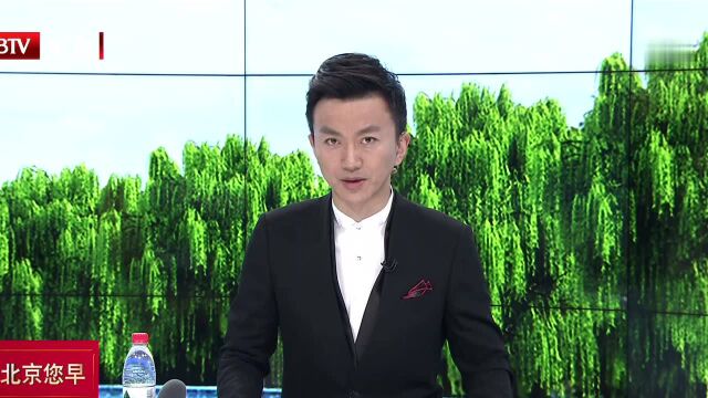 东京奥组委发布2020残奥会运动项目图标