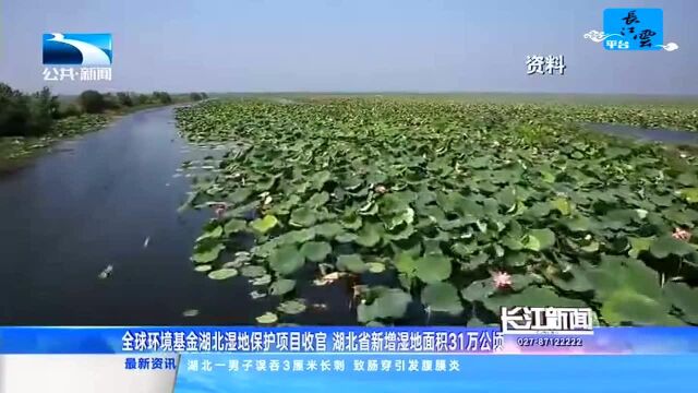 全球环境基金湖北湿地保护项目收官 湖北省新增湿地面积31万公顷