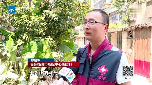 全力救灾 重建家园 温州永嘉:稻田受损 农技人员送“良药”