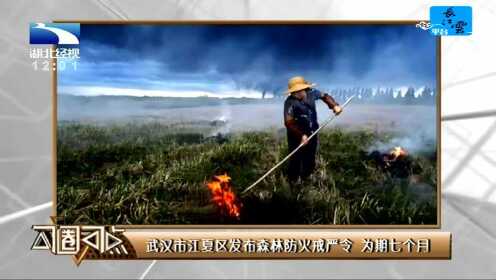 武汉市江夏区发布森林防火戒严令 为期七个月