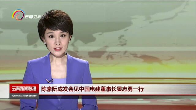 陈豪阮成发会见中国电建董事长晏志勇一行