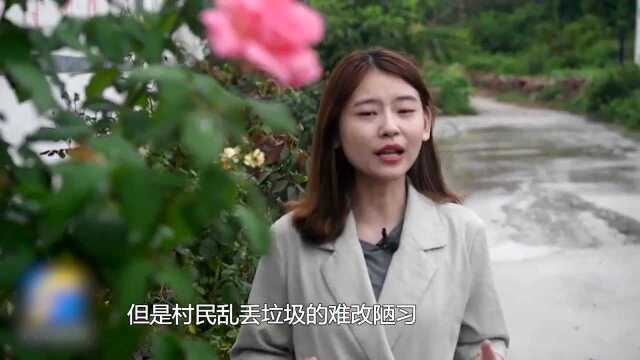 【山东平邑县】有钱没钱都得干,看“抠门”书记如何打造新农村样板