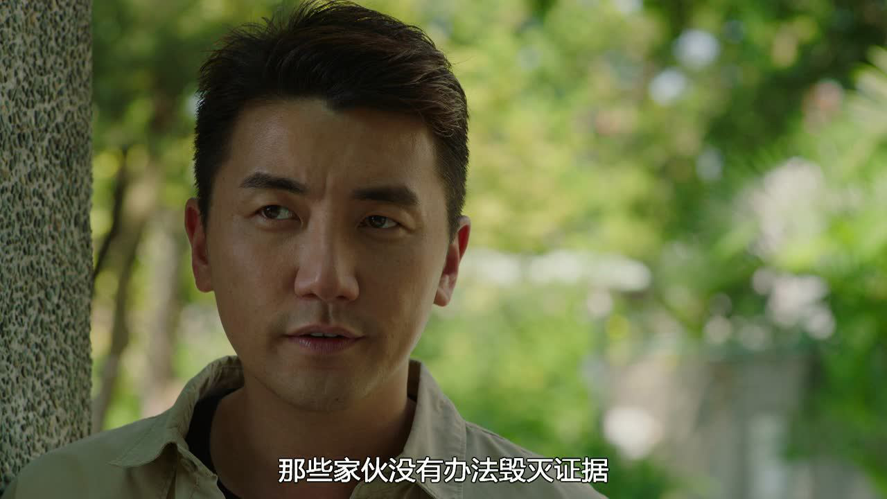 使徒行者3[普通话版] 29集