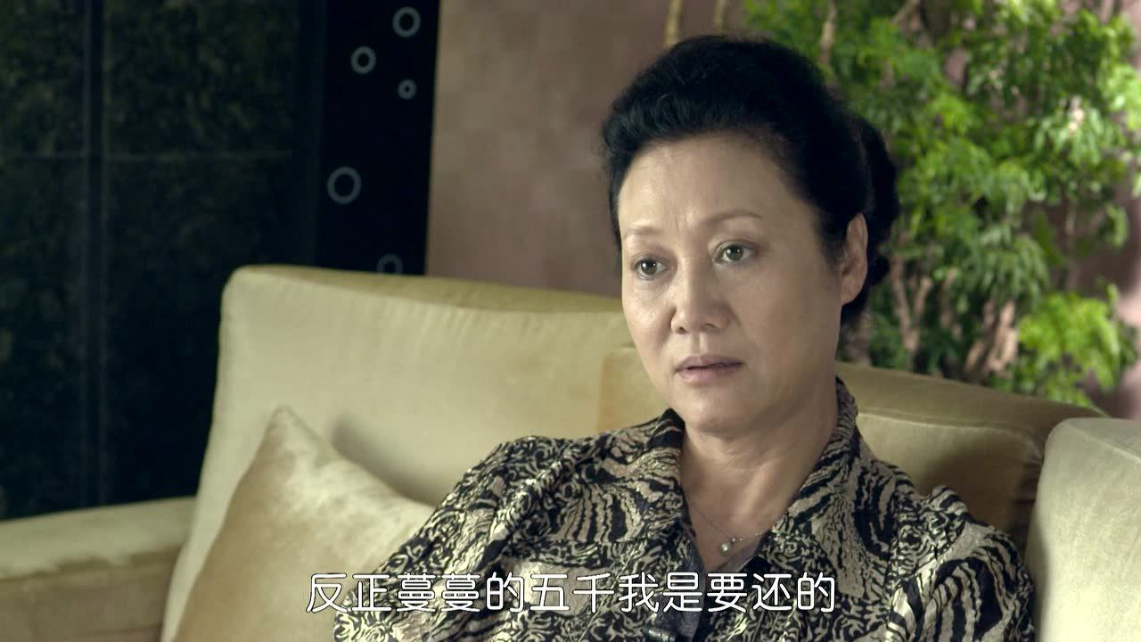 丈母娘来了 12集