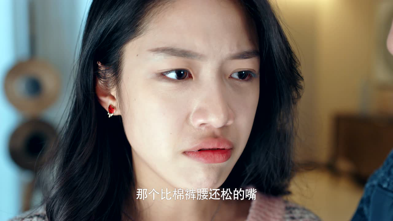百岁之好，一言为定 20集
