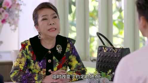 诱爱入局普通话版 31集