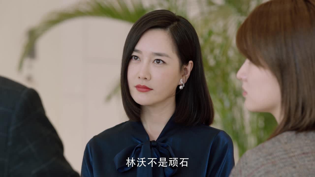 小风暴之时间的玫瑰 15集