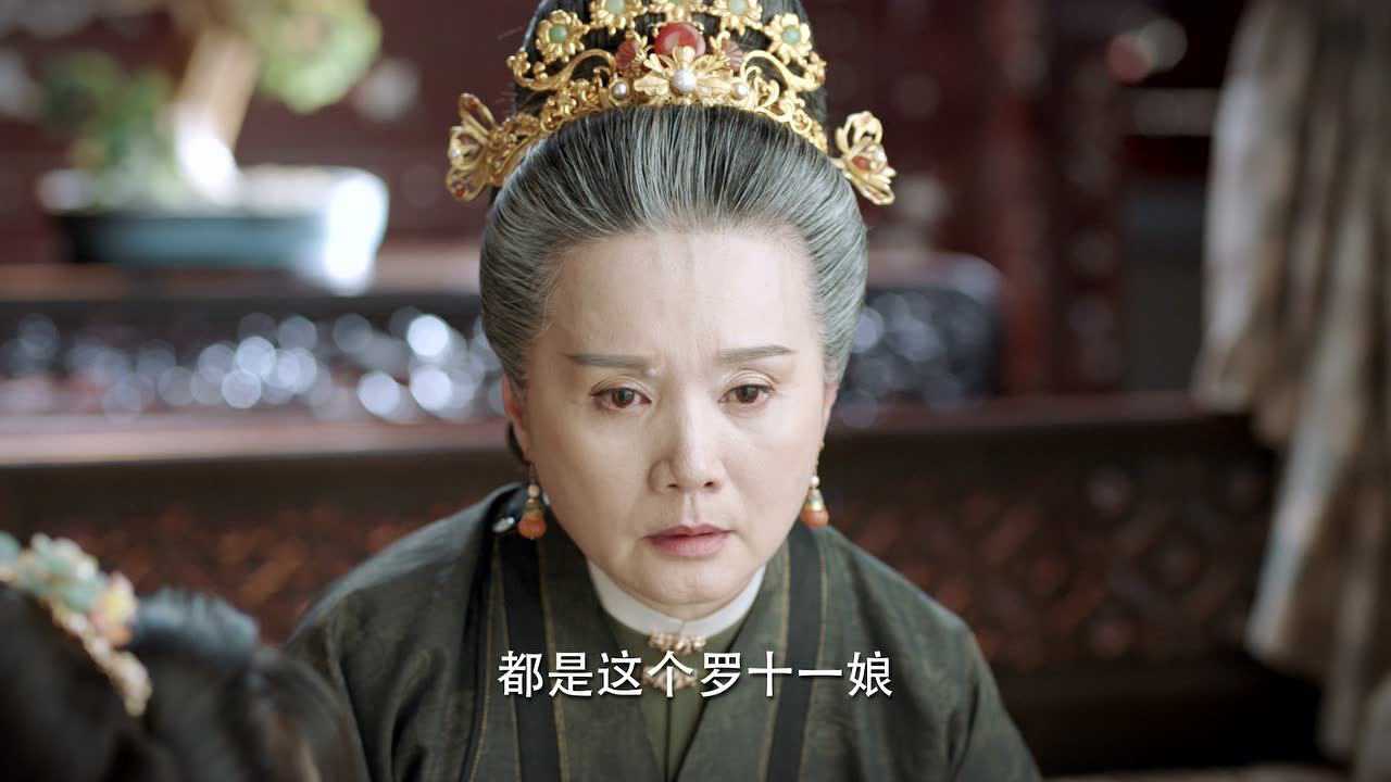 锦心似玉 29集