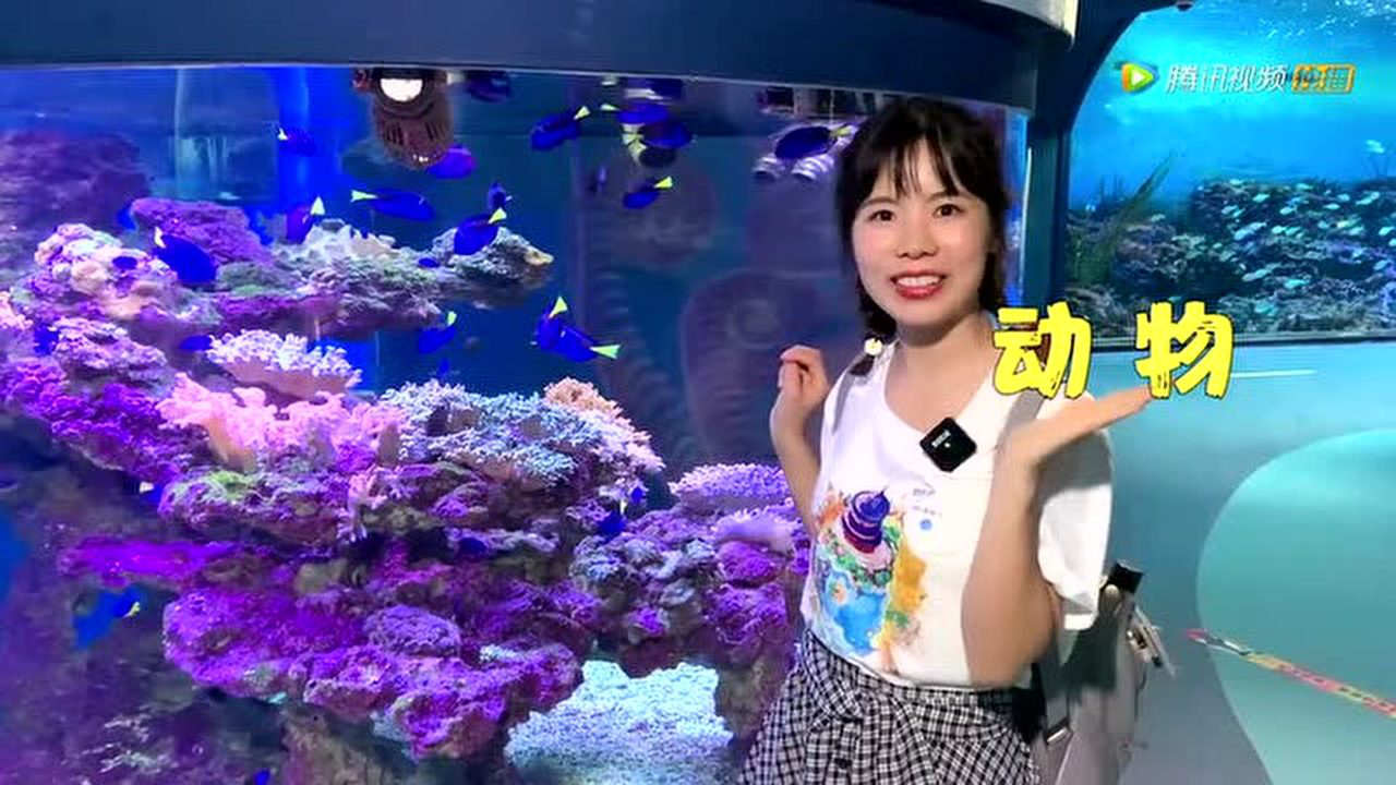 萌萌玩具故事 25集