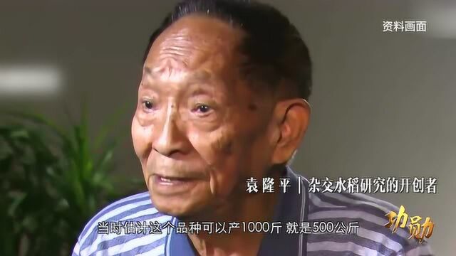 《功勋》幕后原型故事:袁隆平篇