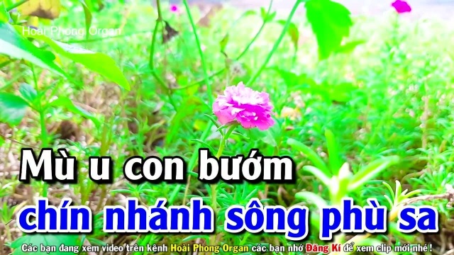 Vọng Cổ Buồn  Song Ca