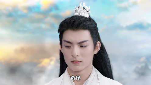 师兄请按剧本来 14集
