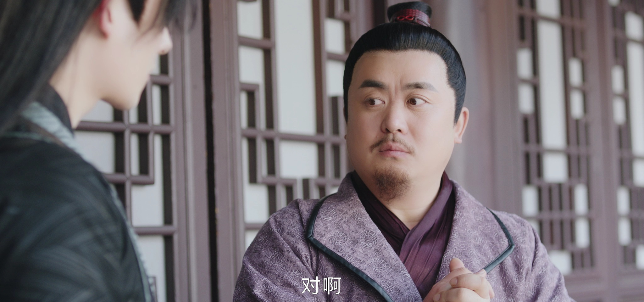 双面赘婿 15集