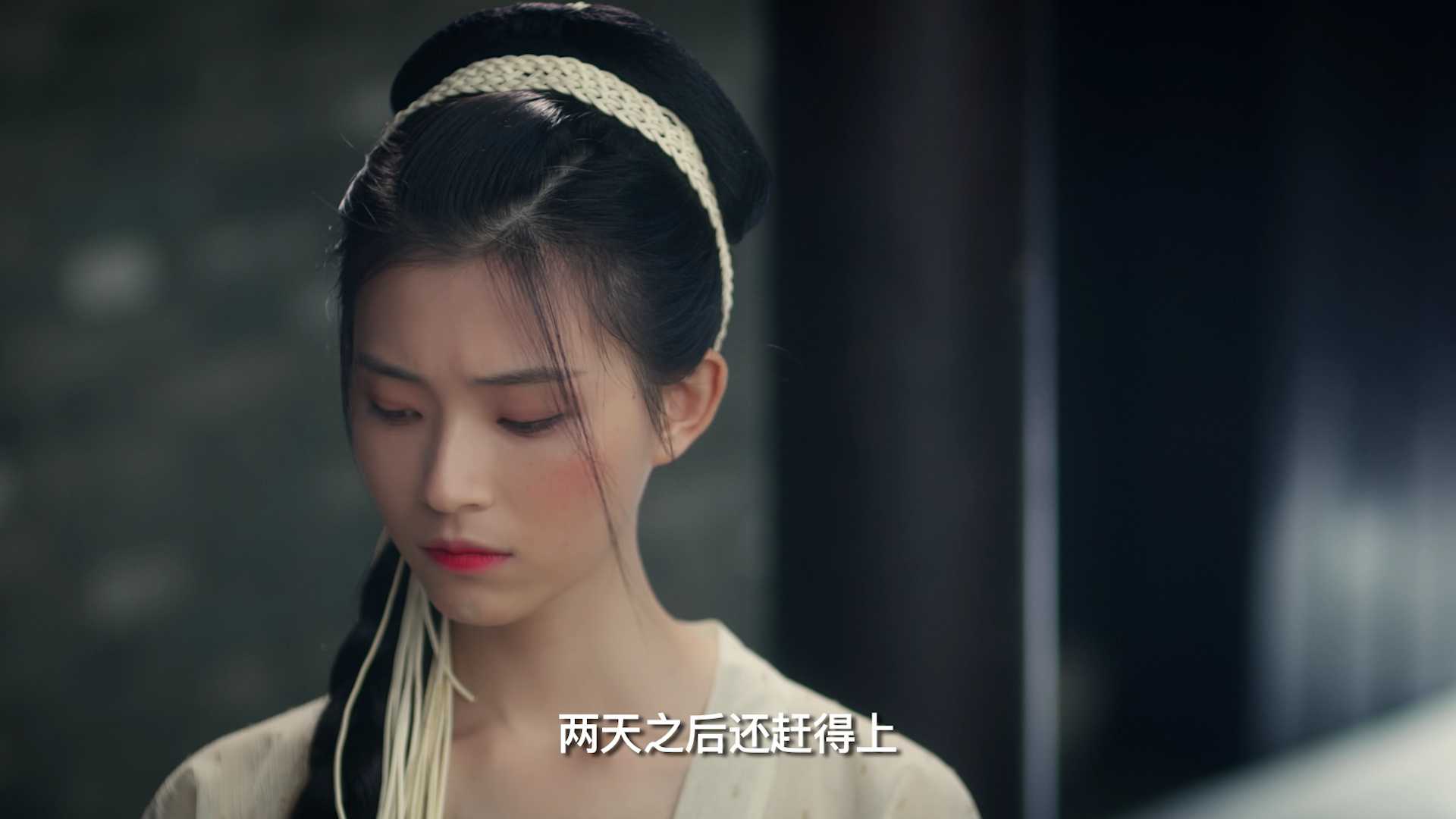 谢公子的酒 14集