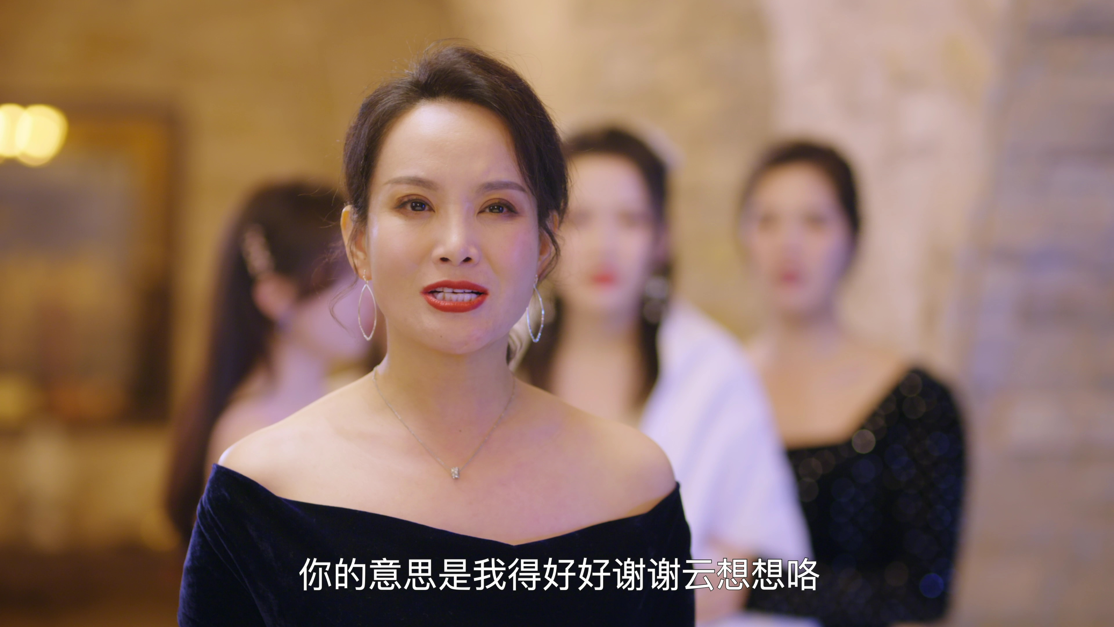 给你我的独家宠爱2 12集