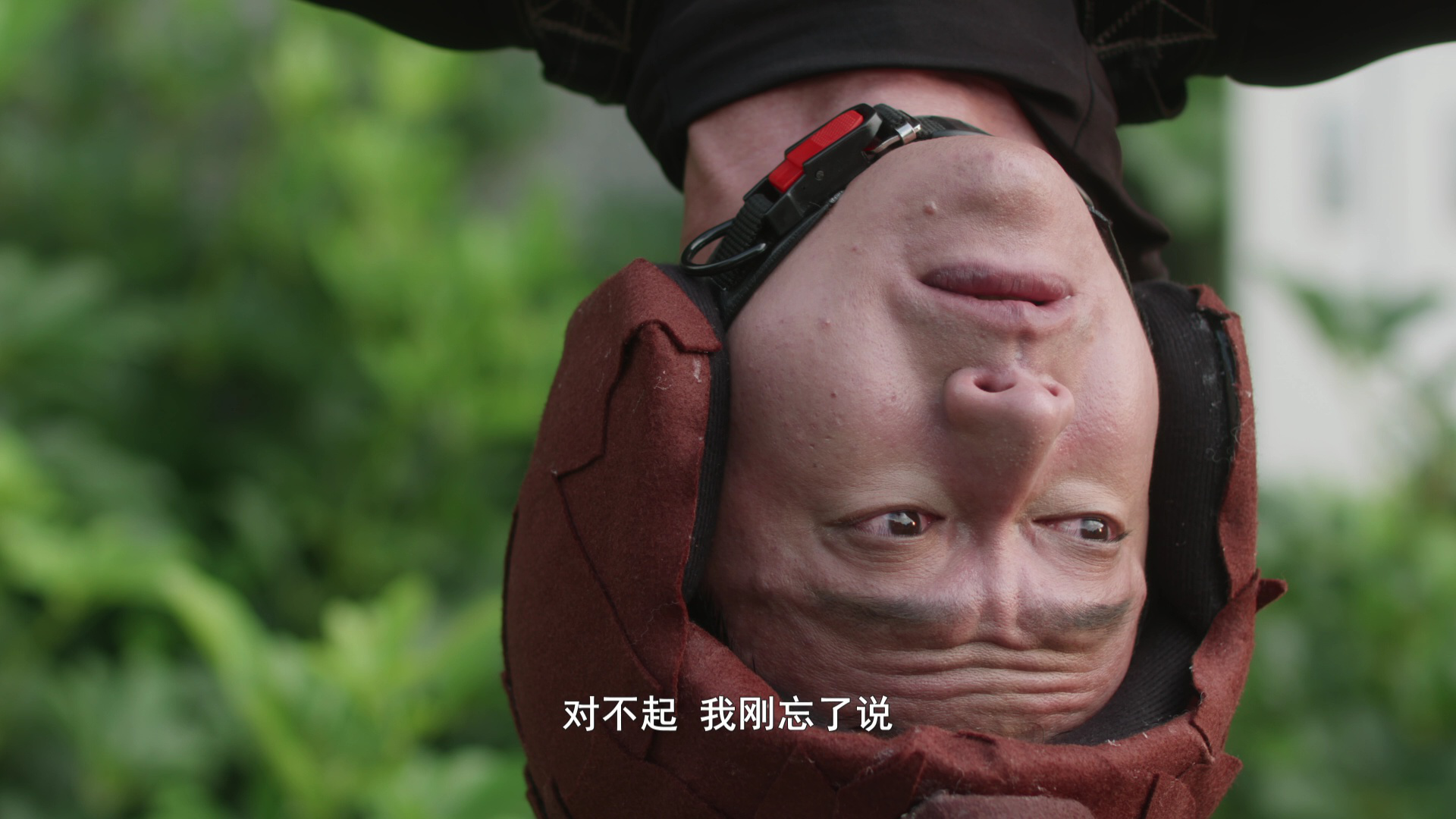 爱情发生在三天后 24集