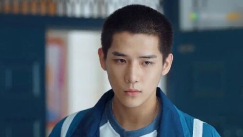 王安宇向涵之青春甜恋