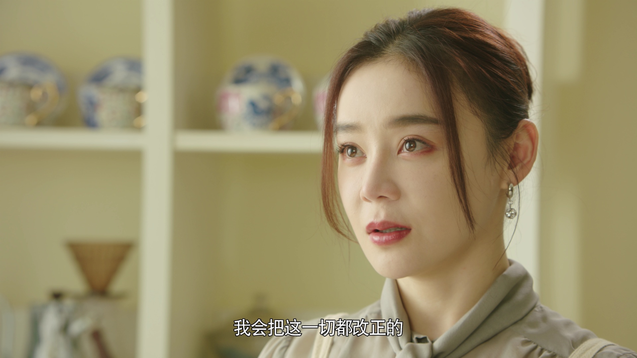 妻子的新世界 13集