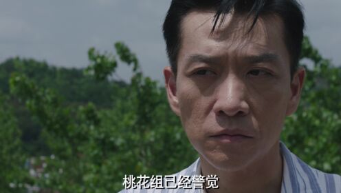 《追捕者》第21集精彩片花_电视剧_高清完整版视频在线观看_腾讯视频