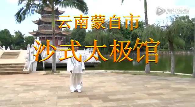 形意拳_腾讯视频