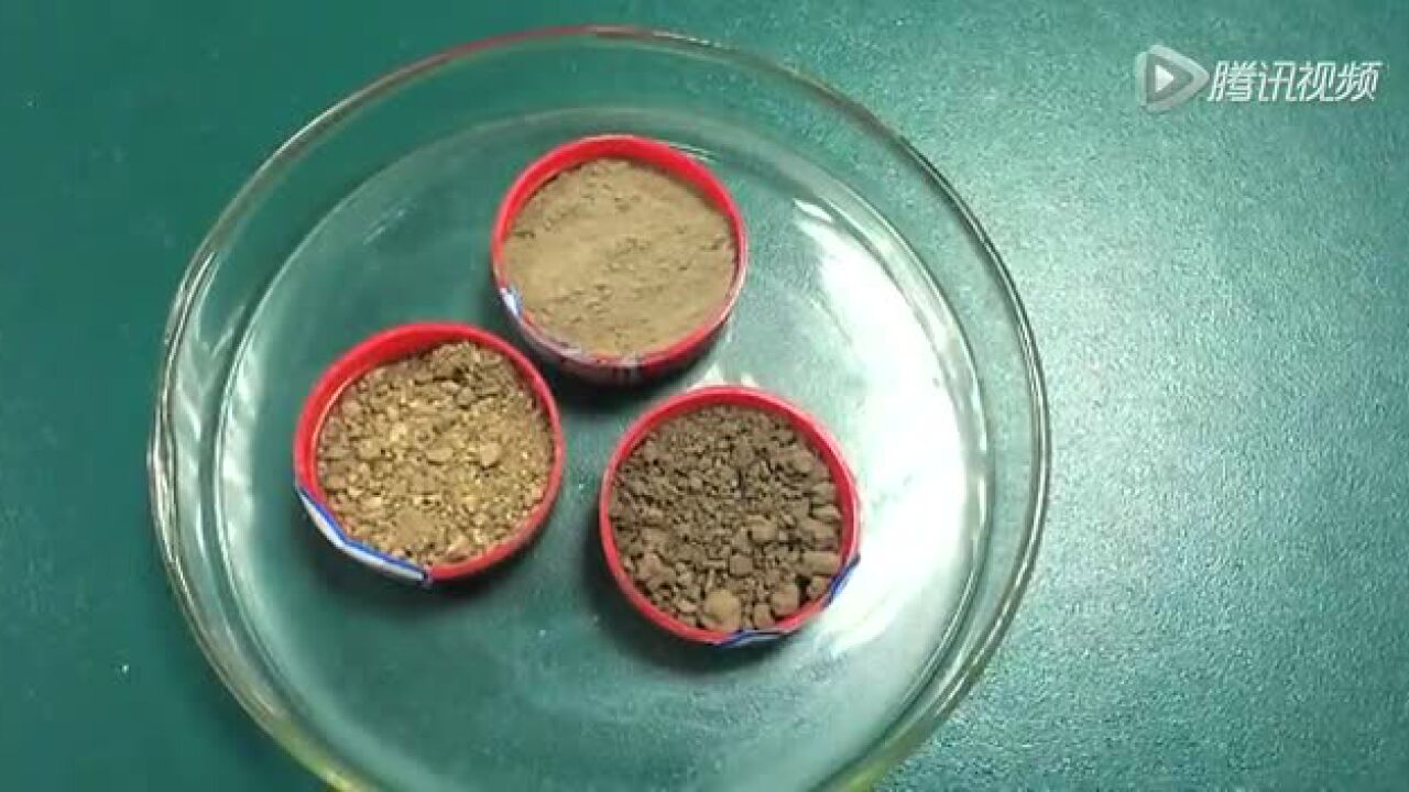 高清1080P在线观看平台_腾讯视频