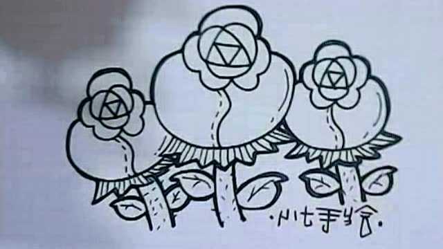小七手绘插画教学视频(三朵花)