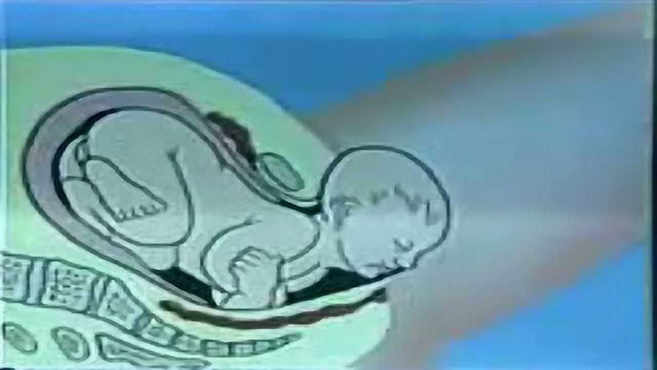 医院分娩教学视频，母亲真的很伟大_高清