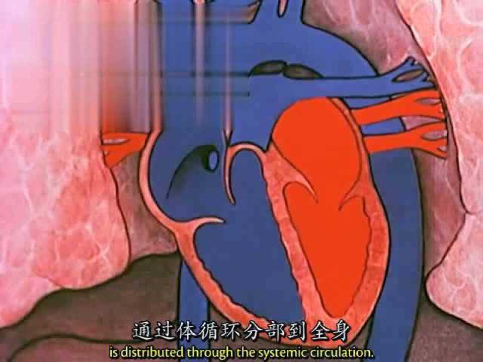 1080p