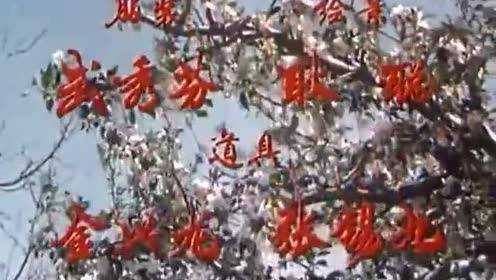 李谷一演唱的1980年影片《花开花落》插曲花之歌