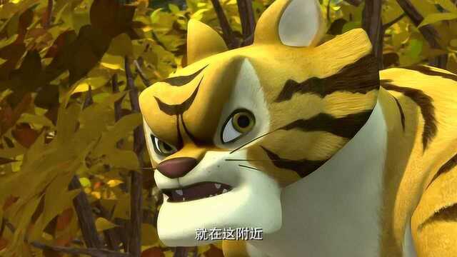 熊出没:强哥差点被老虎吃掉 关键时刻偷猎者麻醉老虎