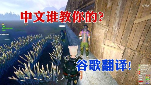 H1Z1：老外为了用中文骂人，居然用谷歌翻译自学中文！