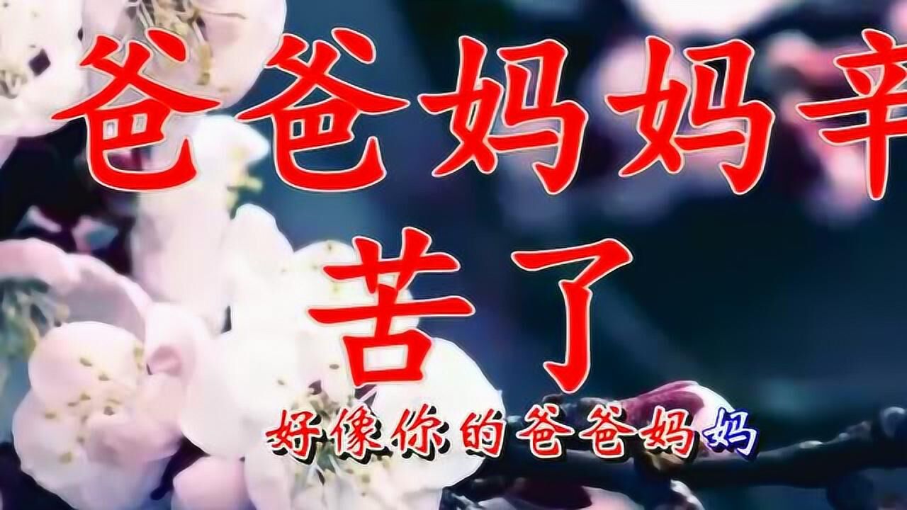 爱是一种信仰下一句歌词(爱是一种信仰什么意思)