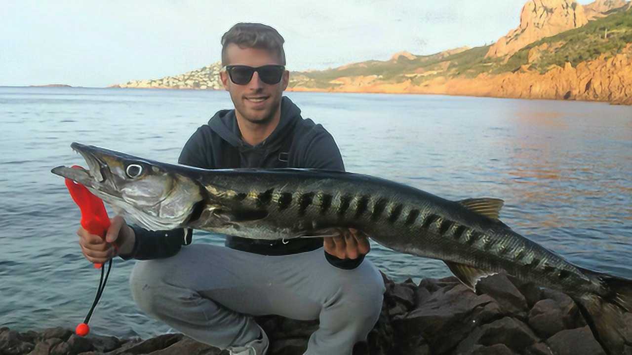 路亚钓鱼,一条巨大海狼鱼,它就是专门"截胡"你渔获的大鱼